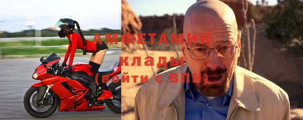 шишки Ельня