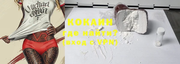 шишки Ельня