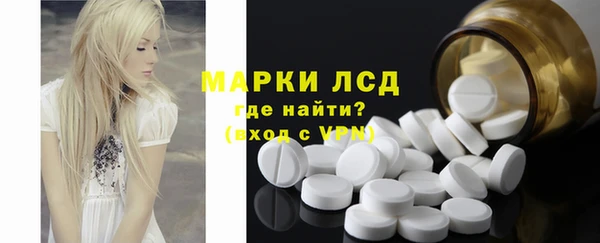 шишки Ельня