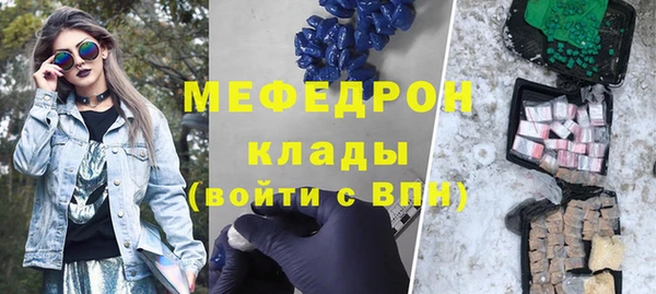 шишки Ельня