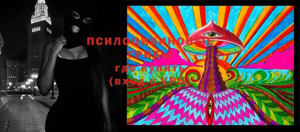 шишки Ельня