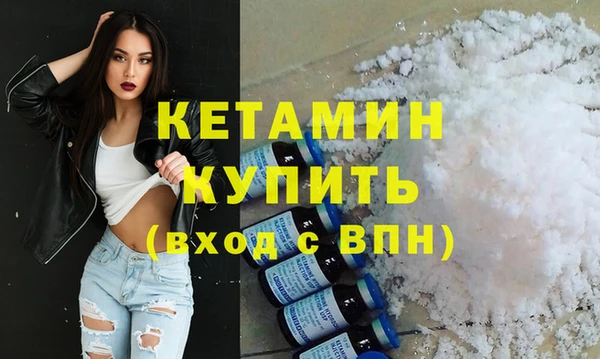 шишки Ельня