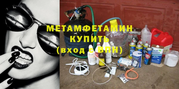 шишки Ельня