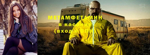 шишки Ельня
