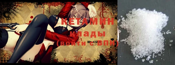 шишки Ельня
