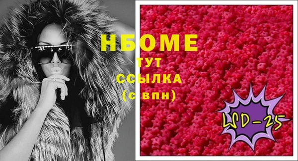 шишки Ельня