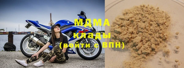 шишки Ельня