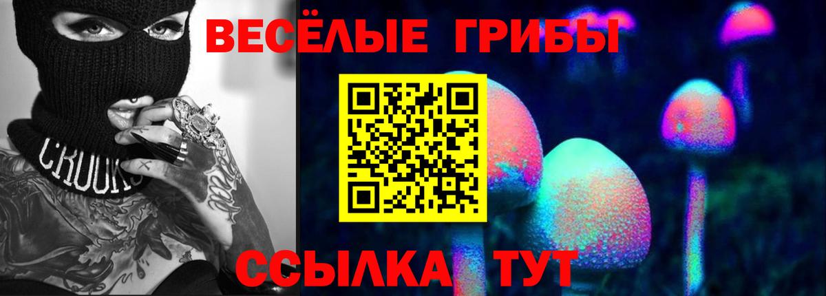 Галлюциногенные грибы Magic Shrooms  Галлюциногенные грибы GOLDEN TEACHER  Тара  где продают наркотики  Вход с VPN 